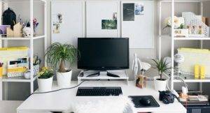 organization tips